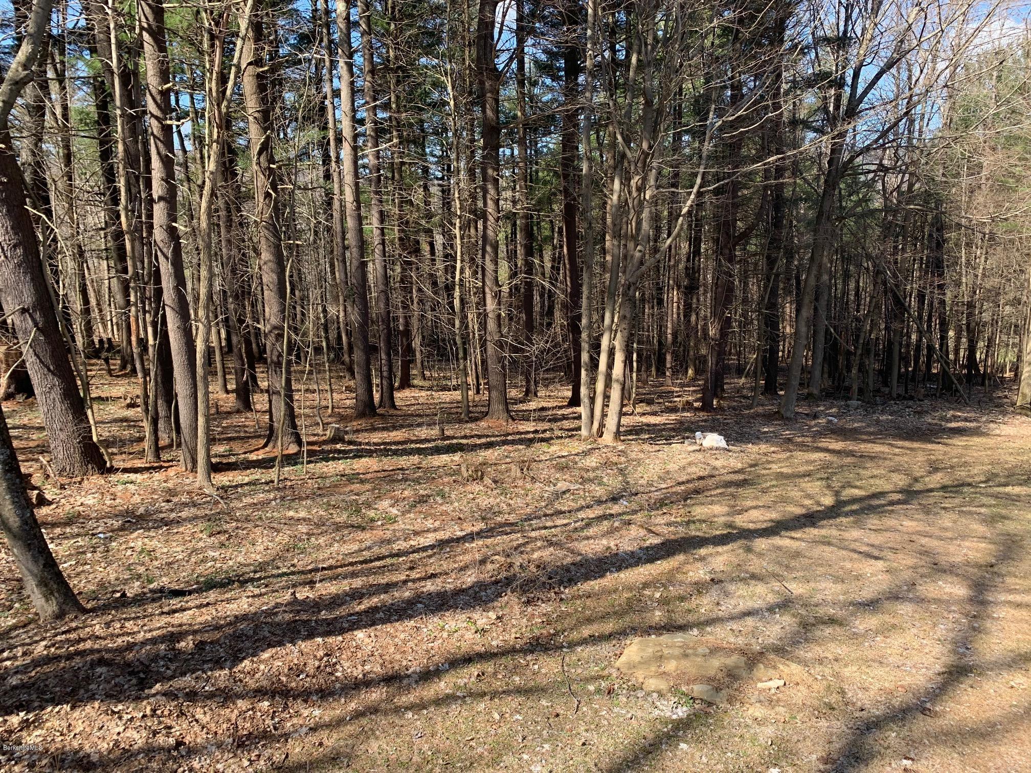 221 Pittsfield Road Lenox, MA 01240 - Photo 41 of 42 Yard