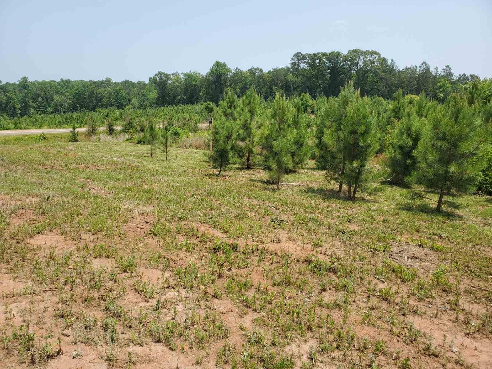 337 Robbins Road Chesnee, SC 29323 - Photo 21 of 23
