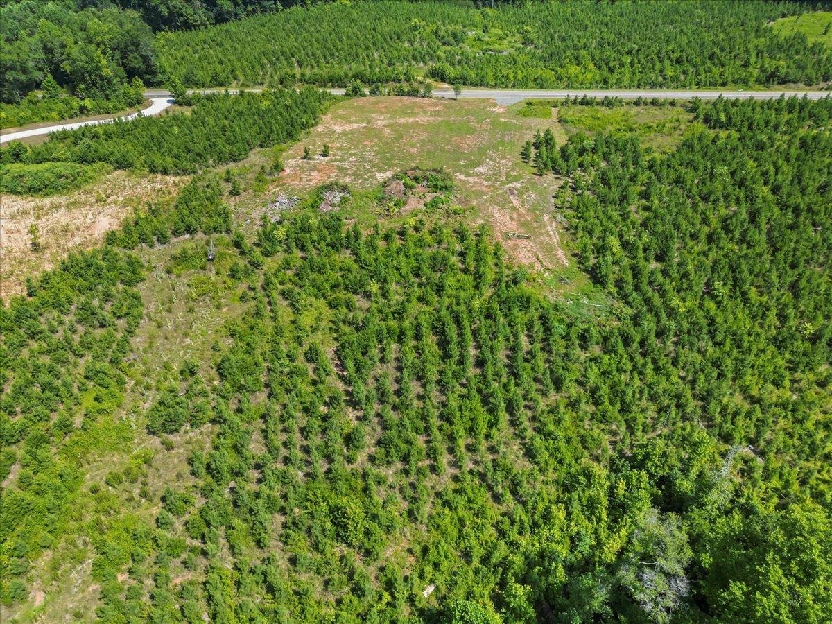 337 Robbins Road Chesnee, SC 29323 - Photo 6 of 23