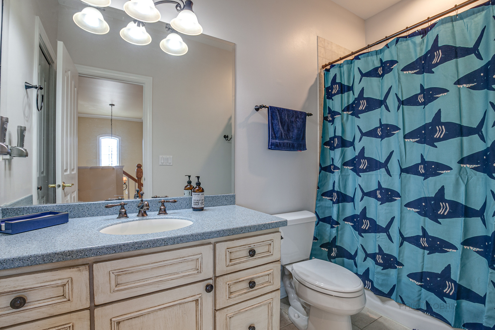 920 Symphony Drive Lake Forest, IL 60045 - Photo 23 of 28 a bathroom with a granite countertop toilet sink and mirror