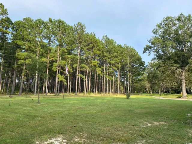 $545,000 | 131 Rhodus Avenue, Andrews, SC 29510