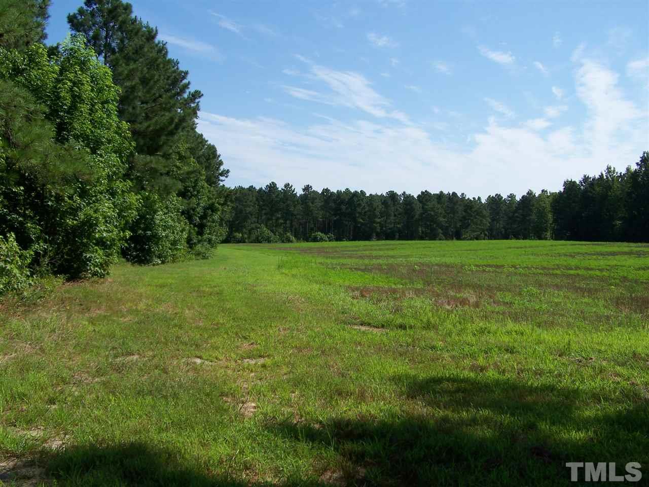 101 Rock Spring Church Road Henderson, NC 27537 - Photo 7 of 9 a view of grassy field with trees