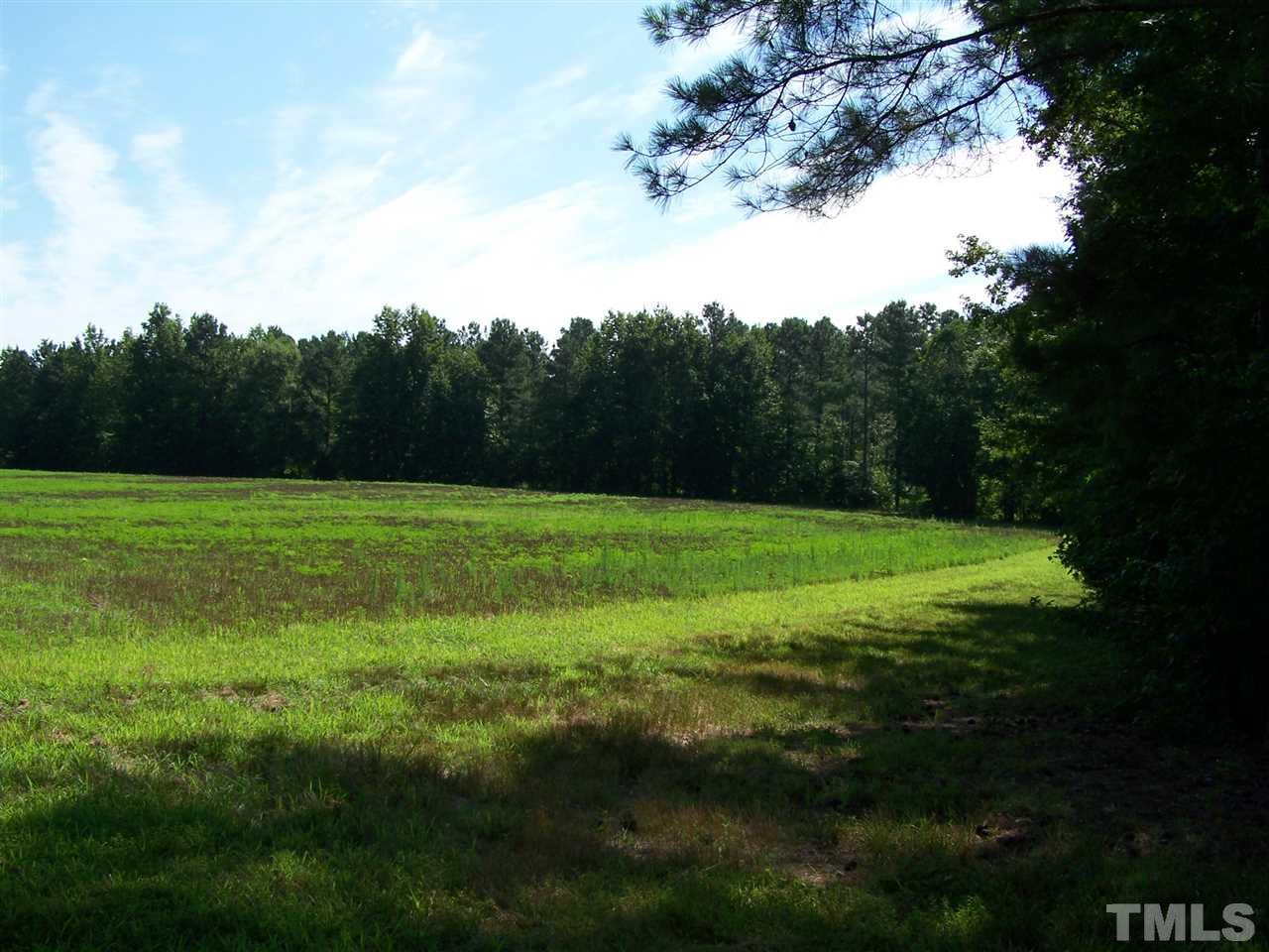 101 Rock Spring Church Road Henderson, NC 27537 - Photo 8 of 9 a view of a grassy field with trees