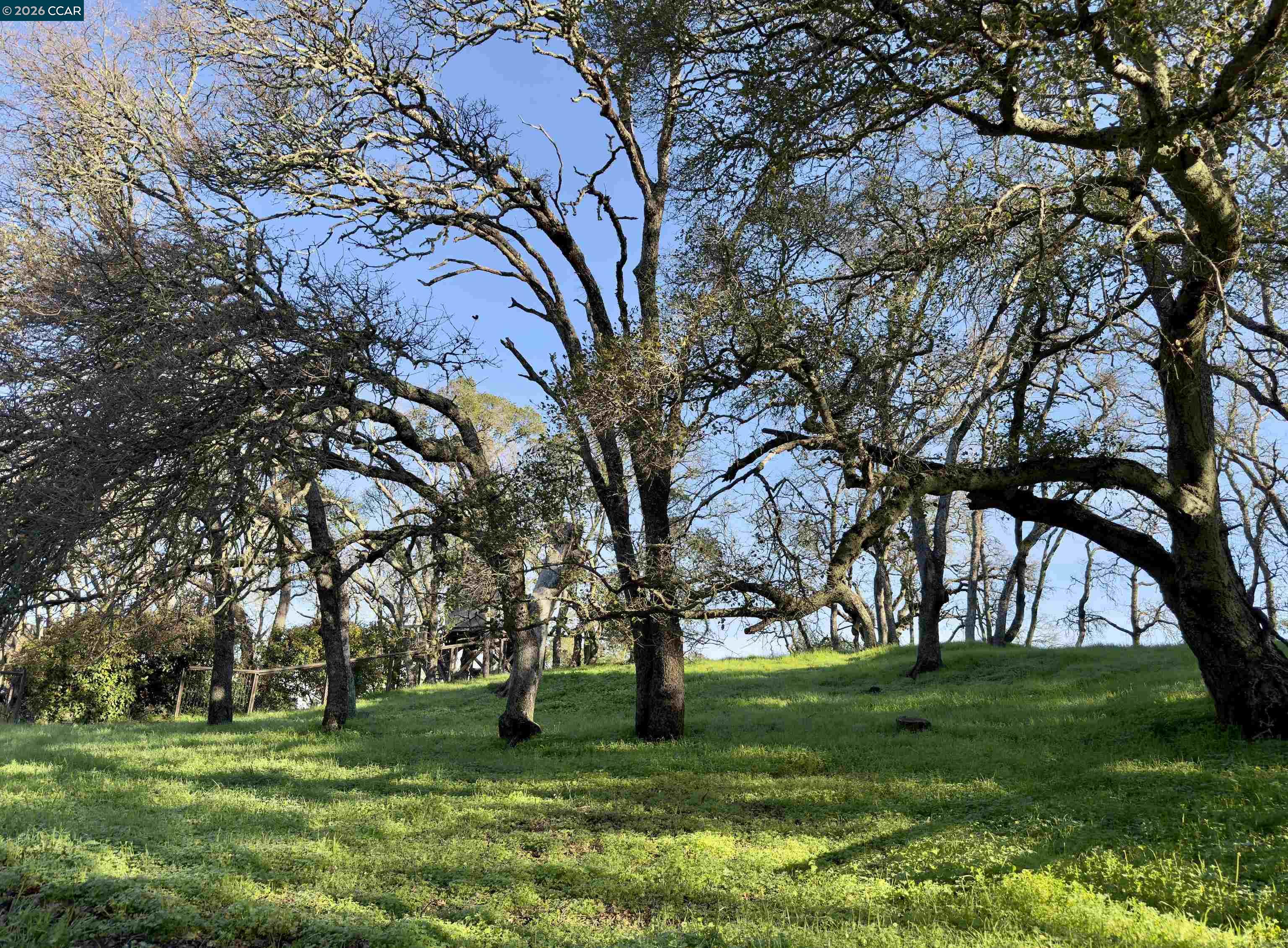 0 Castle Crest Road Alamo, CA 94507 - Photo 14 of 14 a big yard with lots of green space and fountain