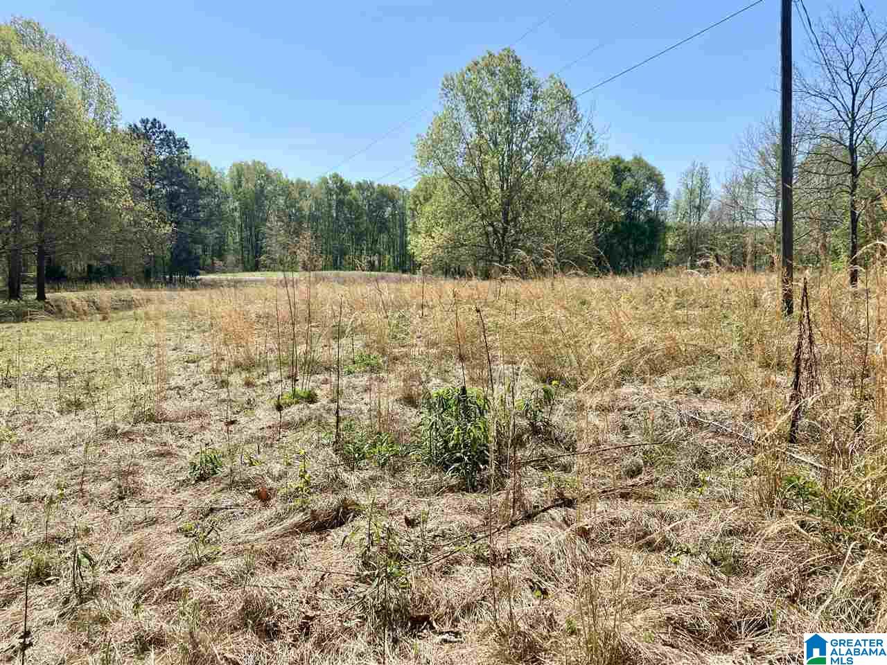 4201 Bristow Cove Road, Unit 1 Boaz, AL 35956 - Photo 1 of 23