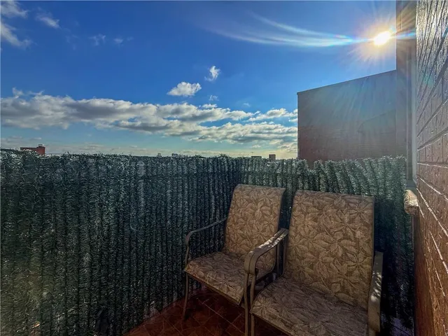 a view of a deck with wooden floor and roof with potted plants