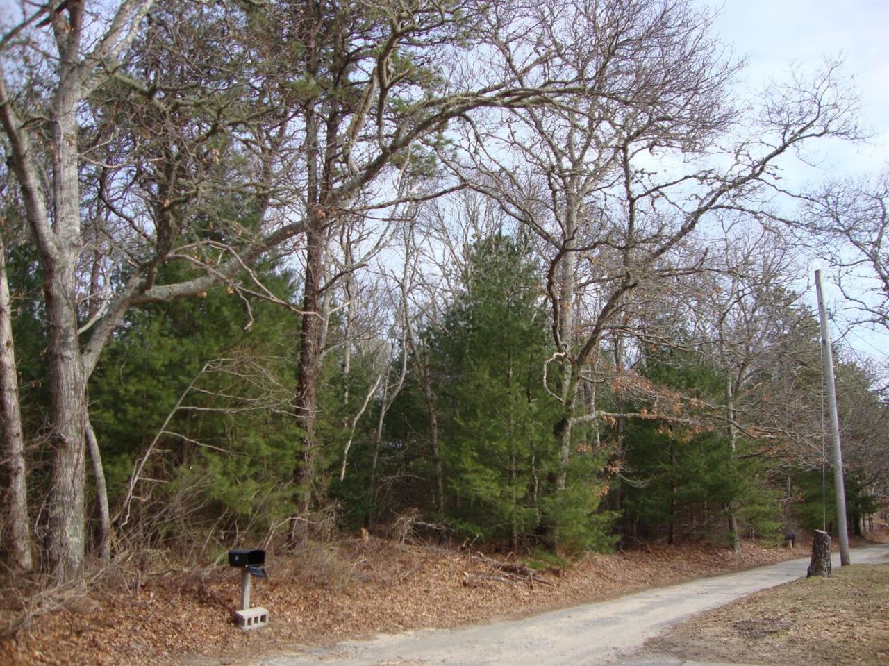 121 Strawberry Hill Road Centerville, MA 02632 - Photo 3 of 11 a view of a forest