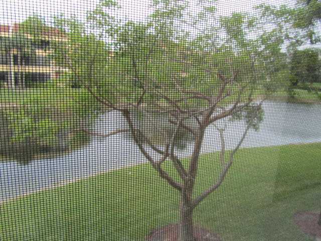 7546 La Paz Boulevard, Unit 201 Boca Raton, FL 33433 - Photo 10 of 10 Additional Photo