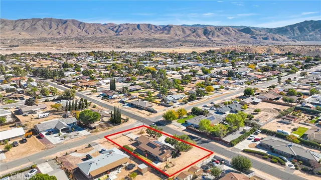 a view of a palm trees front of house