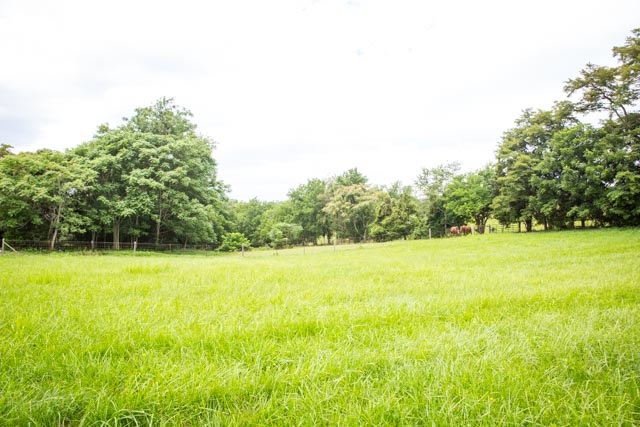 125 Liberty School Road Mount Sidney, VA 24467 - Photo 39 of 48 a view of an outdoor space and a yard