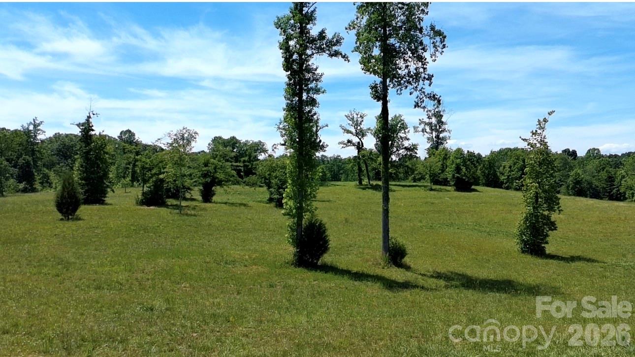 473 McEntire Road Tryon, NC 28782 - Photo 18 of 18