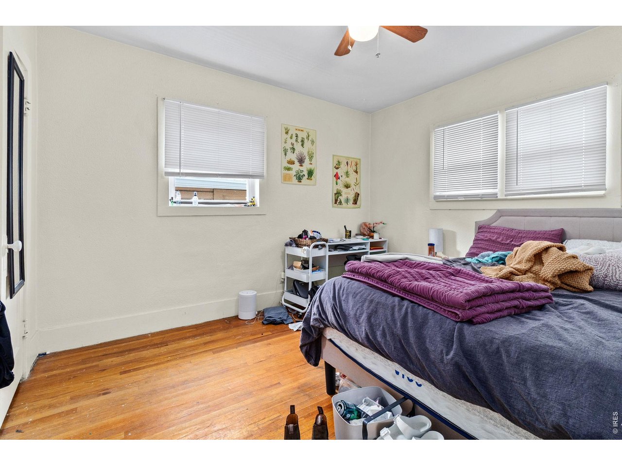 531 South Whitcomb Street Fort Collins, CO 80521 - Photo 10 of 16