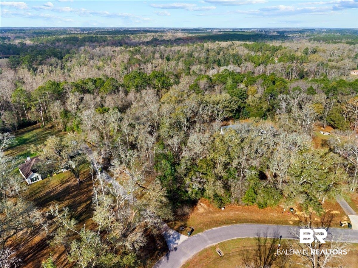 Chene Trace Robertsdale, AL 36567 - Photo 22 of 22 Bird's eye view of a forest