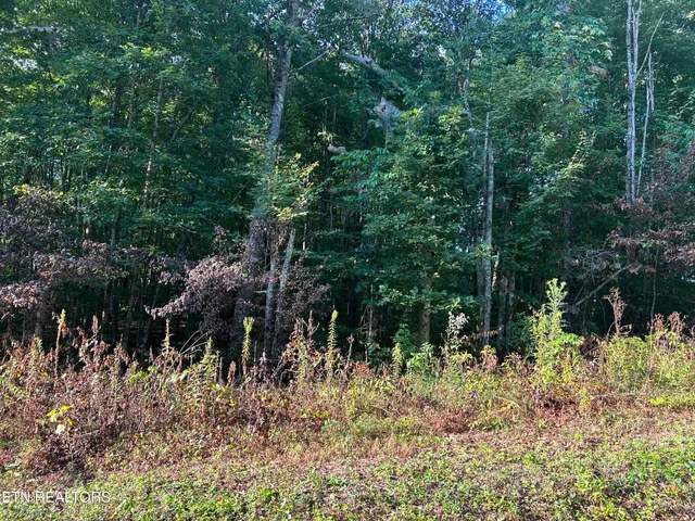 $39,900 | Panther Branch Road, Jamestown, TN 38556