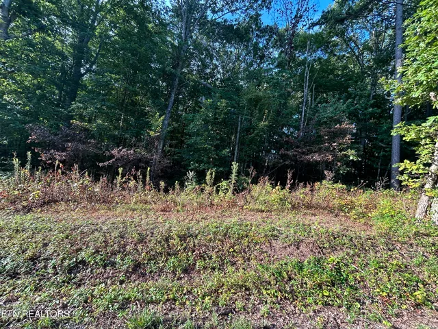 $39,900 | Panther Branch Road, Jamestown, TN 38556