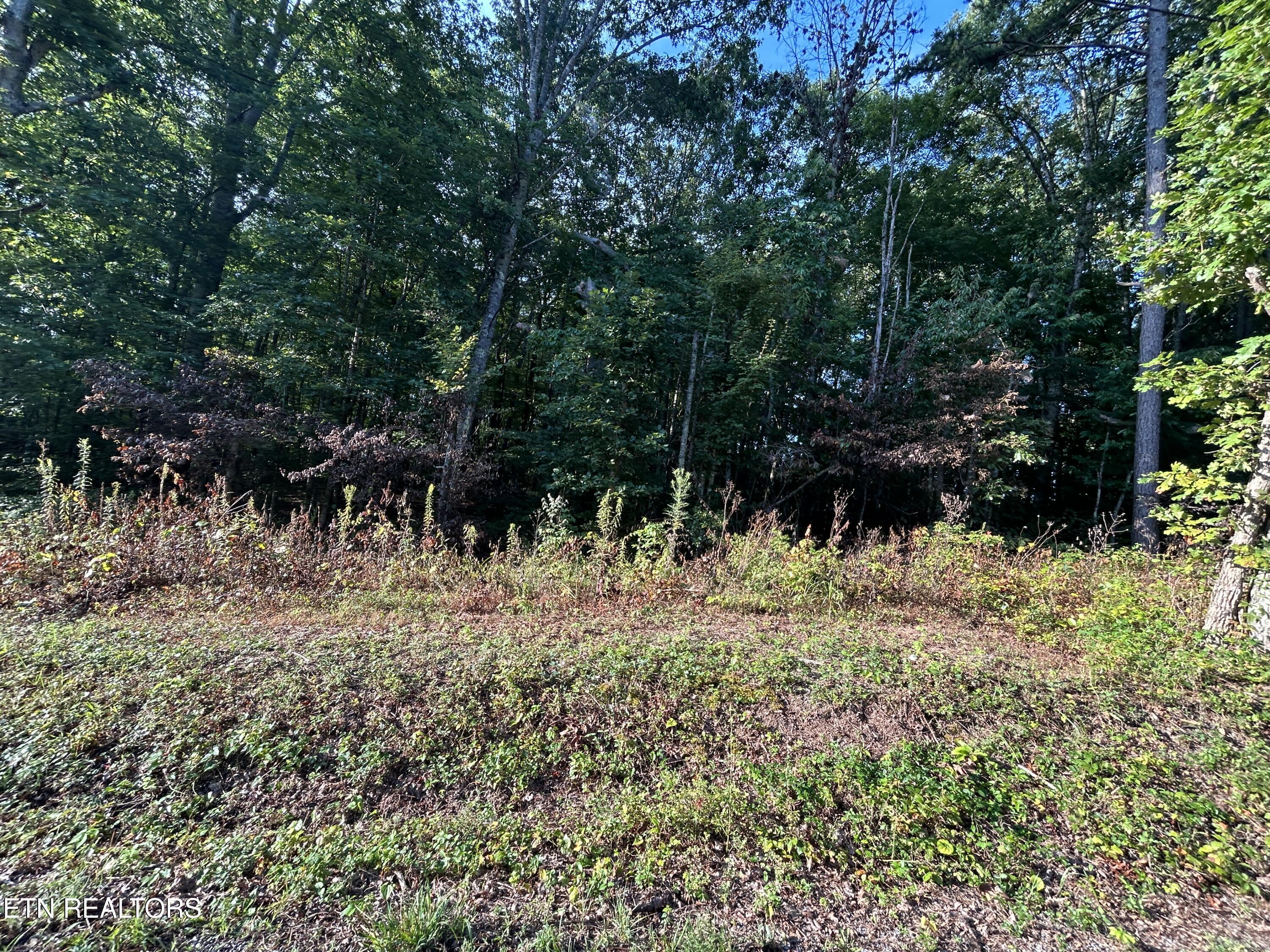 Panther Branch Road Jamestown, TN 38556 - Photo 3 of 4 IMG_4811