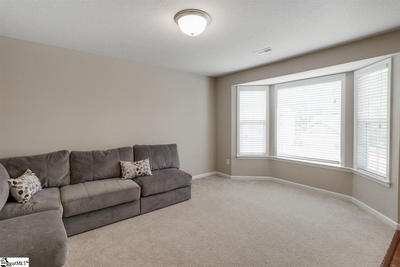 100 Tigris Way Greenville, SC 29607 - Photo 20 of 32 Gallery Image 20