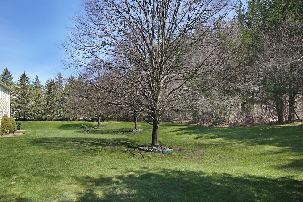 80 Thoreau Road Canton, MA 02021 - Photo 30 of 30 Gallery Image 30