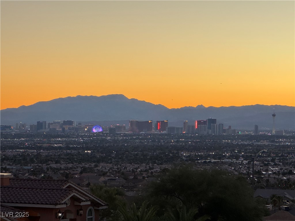 7150 Pico Rio Court Las Vegas, NV 89156 - Photo 19 of 20