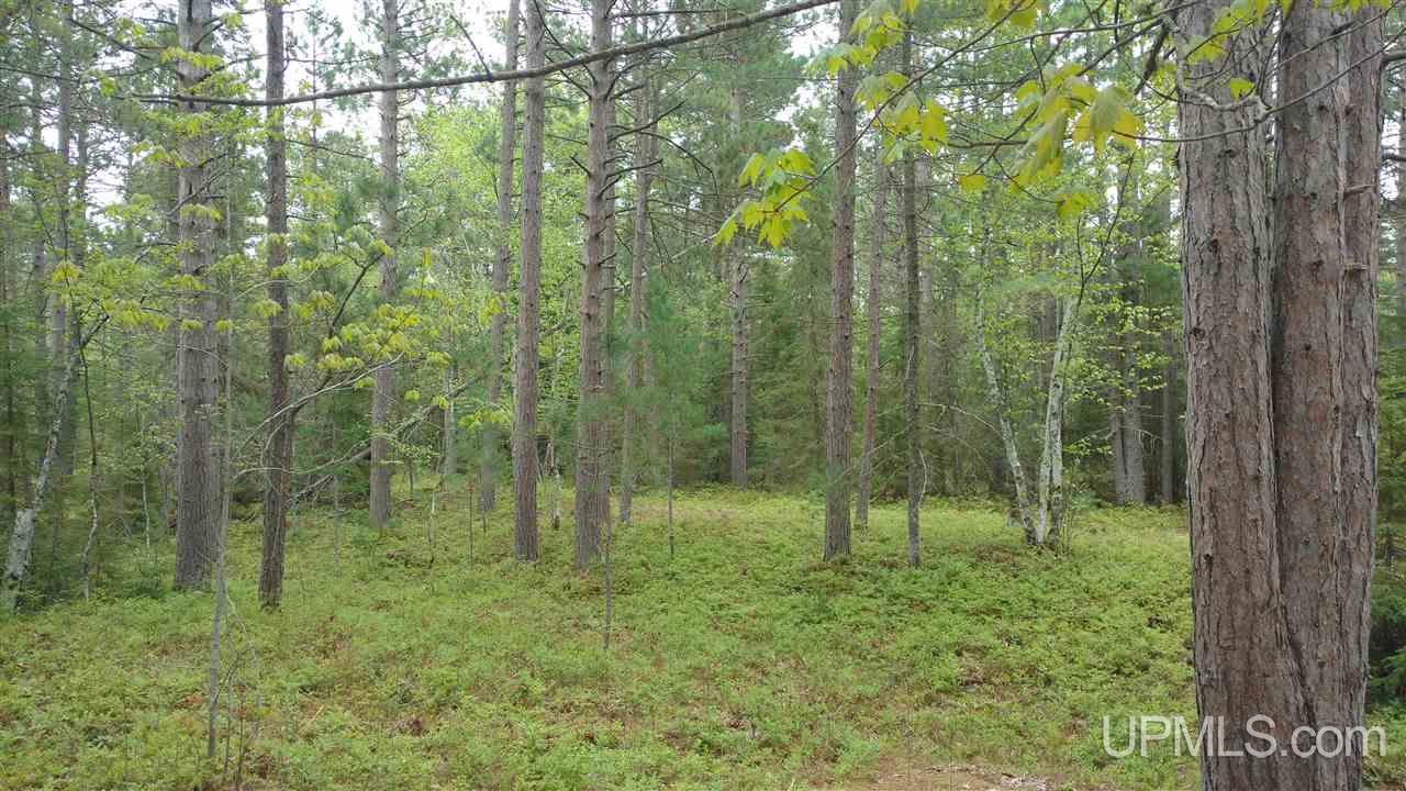 Tbd Little Rice Lake Road, Unit 57 Lake Linden, MI 49945 - Photo 9 of 9
