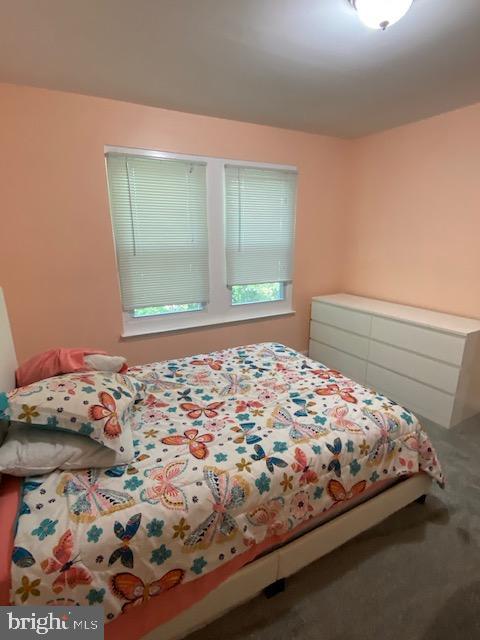 7020 Palamar Turn Lanham, MD 20706 - Photo 15 of 27 Bedroom #2