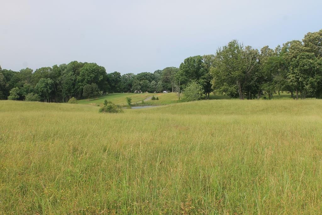 0 McCorkle Road Baneberry, TN 37890 - Photo 17 of 18