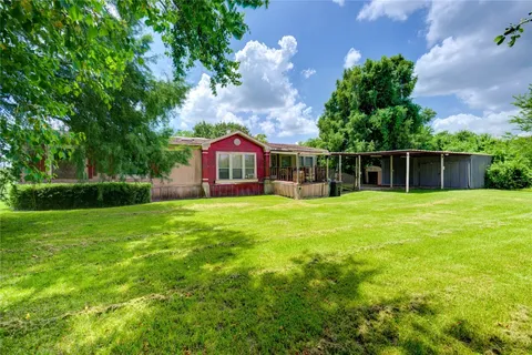 a view of a backyard with plants and a large tree