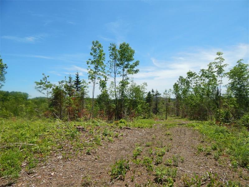 0 Thurlow Road Monroe, ME 04951 - Photo 3 of 5 Photo