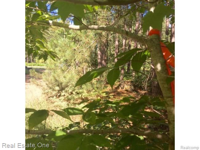 0 Teton Ridge Road Gaylord, MI 49735 - Photo 20 of 25 Gallery Image 20