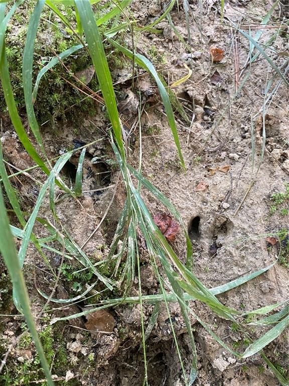 0 Hwy 167 Road Pineville, LA 71360 - Photo 11 of 20