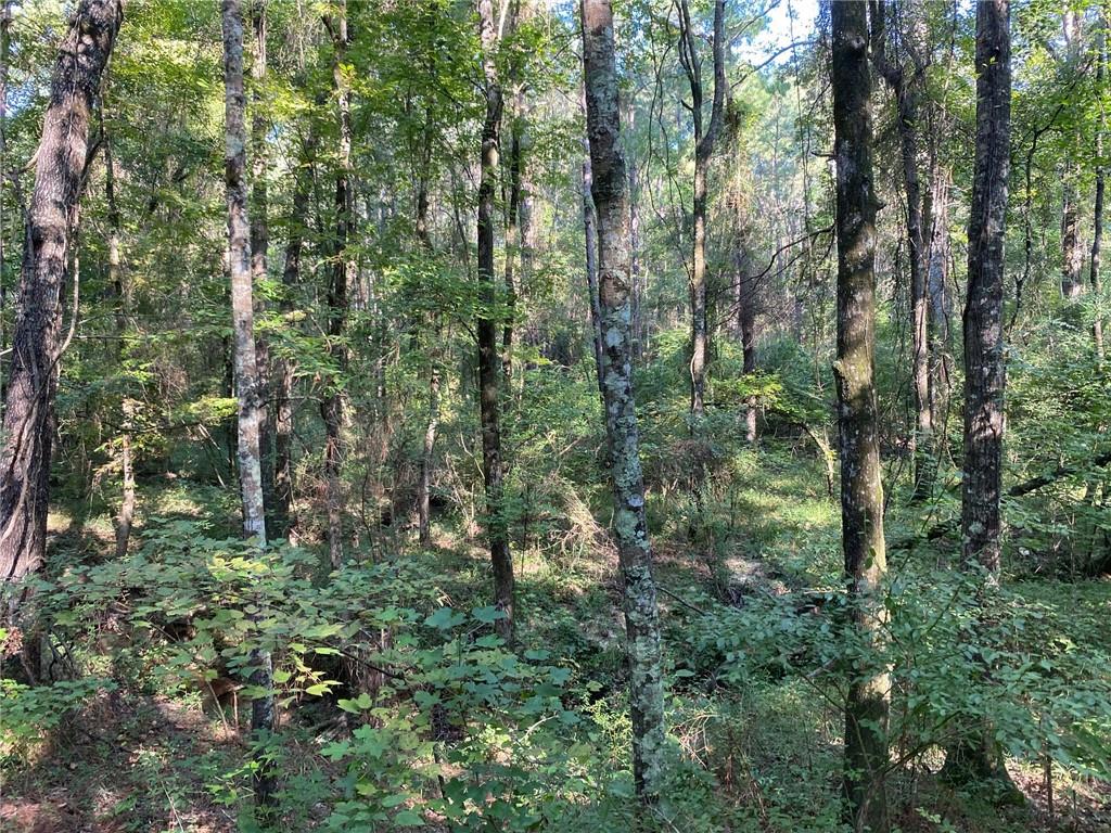 0 Hwy 167 Road Pineville, LA 71360 - Photo 10 of 20