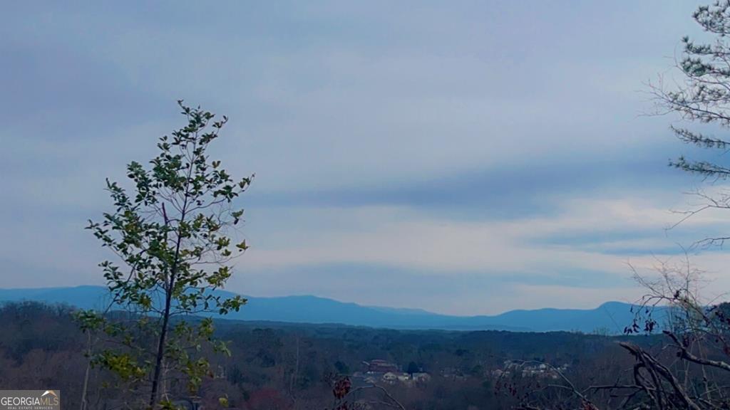 439 Westbrook Road Dalton, GA 30721 - Photo 4 of 9