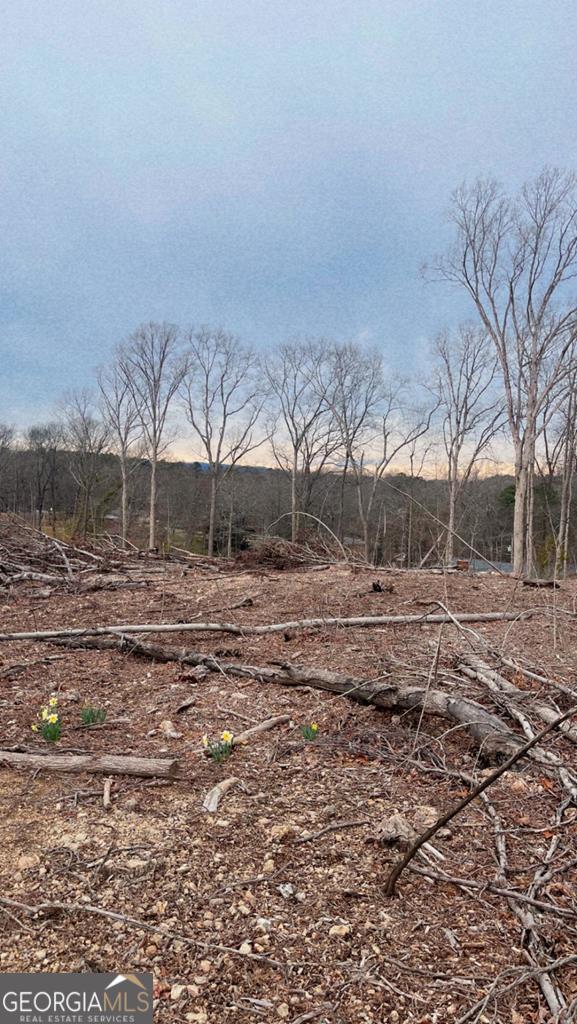 439 Westbrook Road Dalton, GA 30721 - Photo 8 of 9