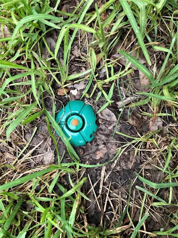 $1,100 | 4802 Ward Street, Houston, TX 77021