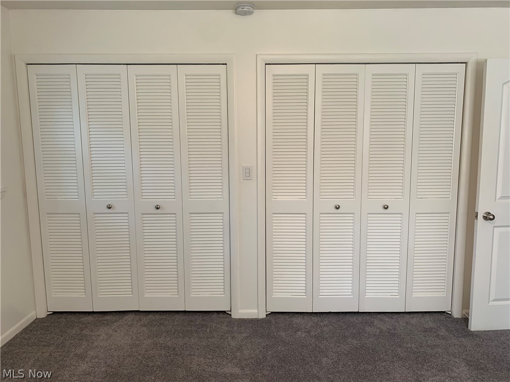 740 Trebisky Road Cleveland, OH 44143 - Photo 11 of 22 Master Bedroom Closets