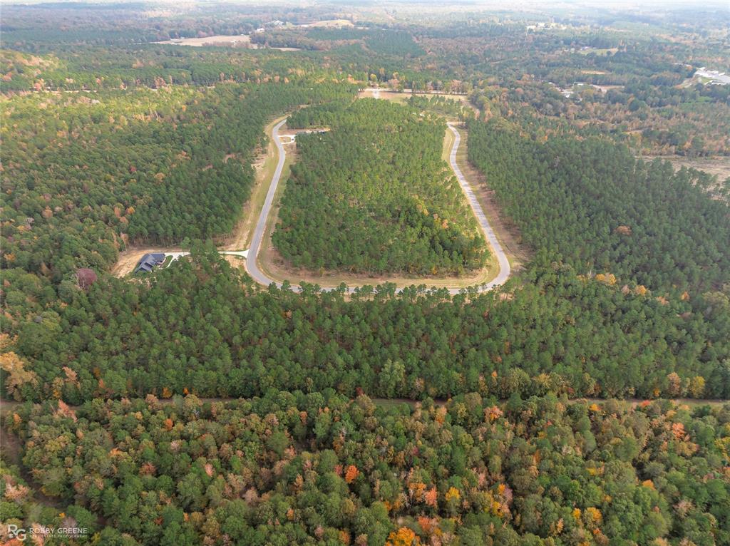 203 Millwood Loop, Unit 2 Minden, LA 71055 - Photo 16 of 20 an aerial view of residential houses with outdoor space and trees