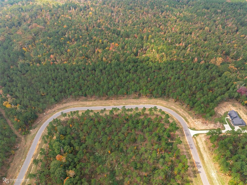 203 Millwood Loop, Unit 2 Minden, LA 71055 - Photo 18 of 20