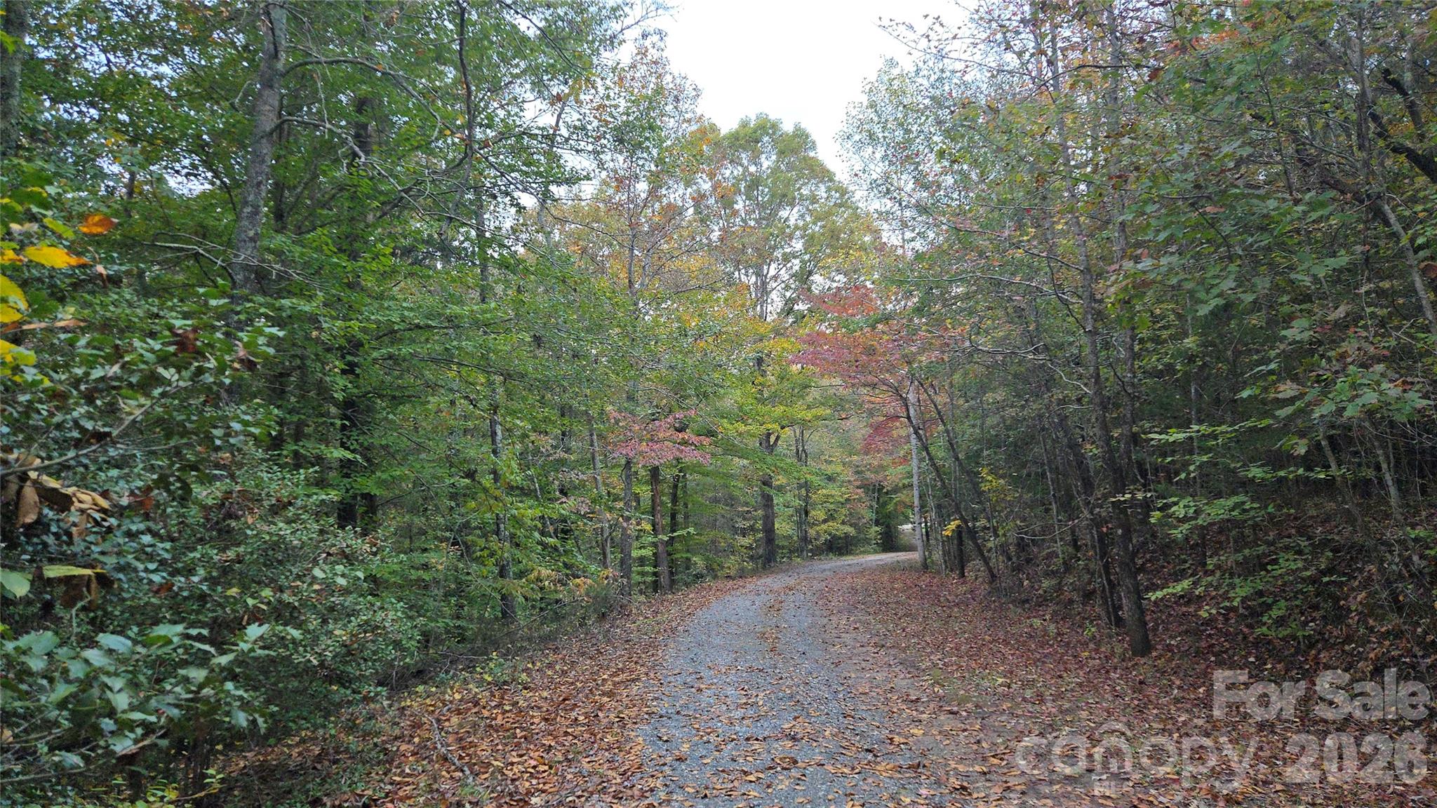 663 Landrum Road Columbus, NC 28722 - Photo 36 of 42 Gallery Image 36