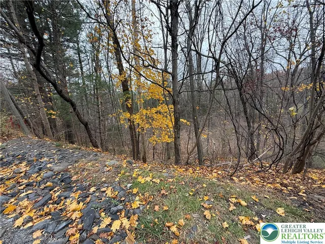 a view of a yard with trees