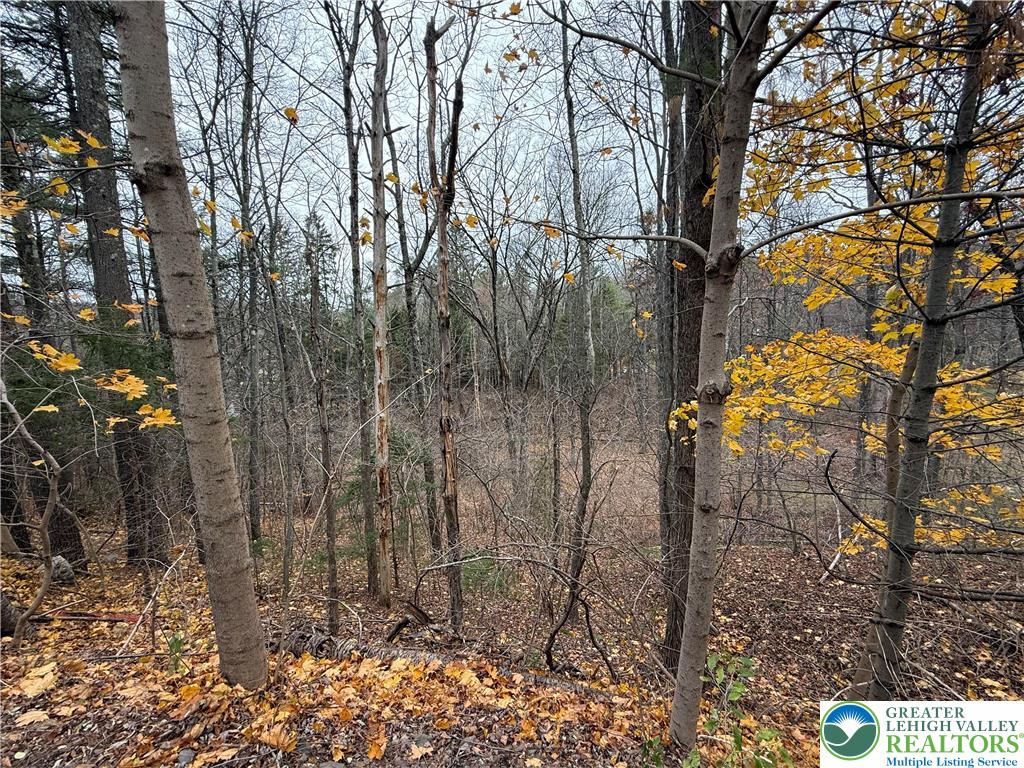 Chatham Hill Road, Unit 4 Stroudsburg, PA 18360 - Photo 2 of 5