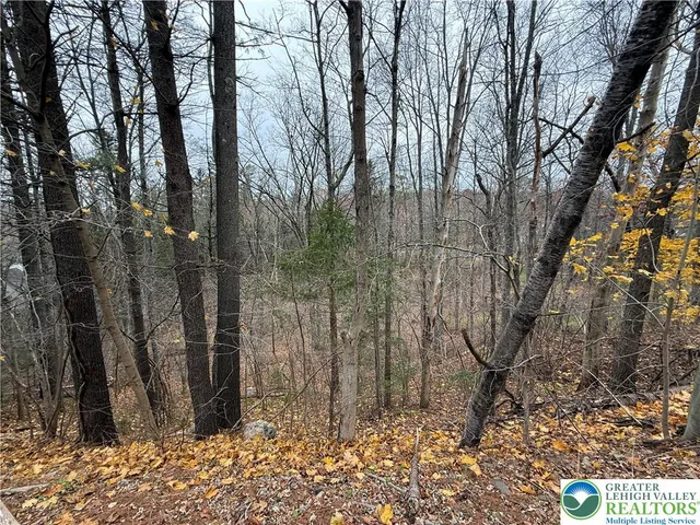 a view of a yard covered with snow in front of house
