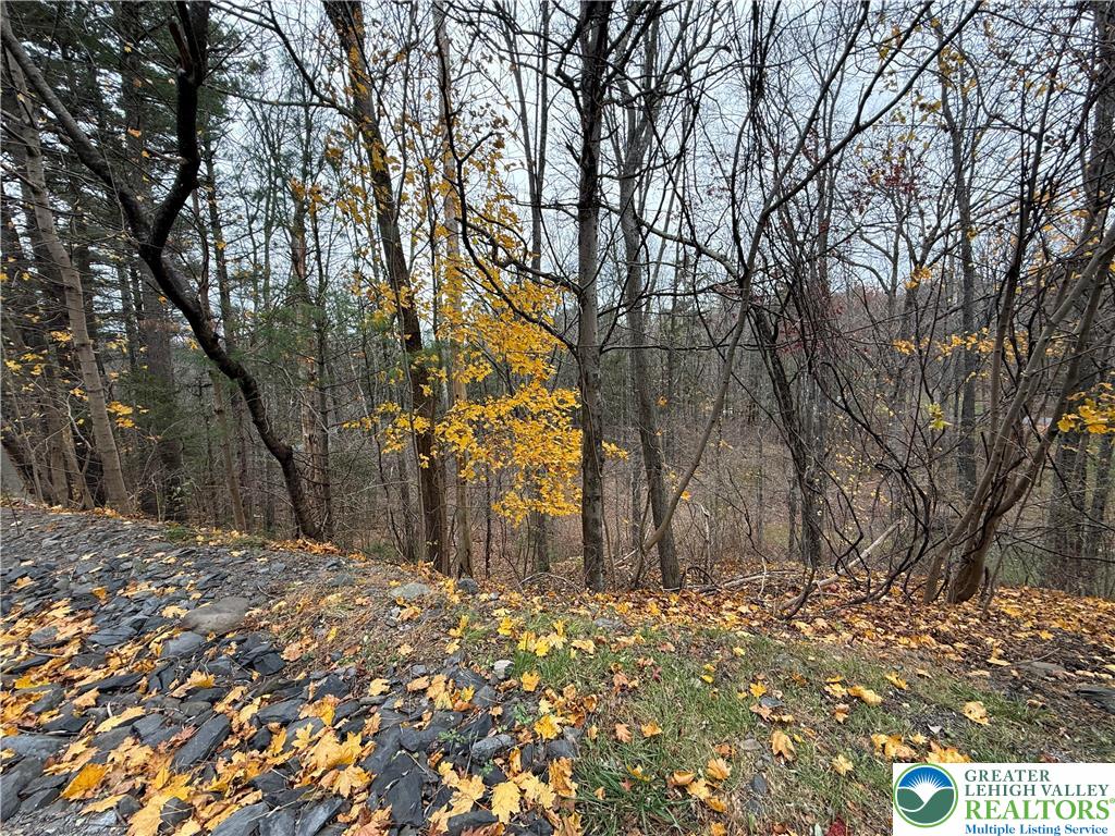 Chatham Hill Road, Unit 4 Stroudsburg, PA 18360 - Photo 4 of 5 a view of a yard covered with snow in front of house
