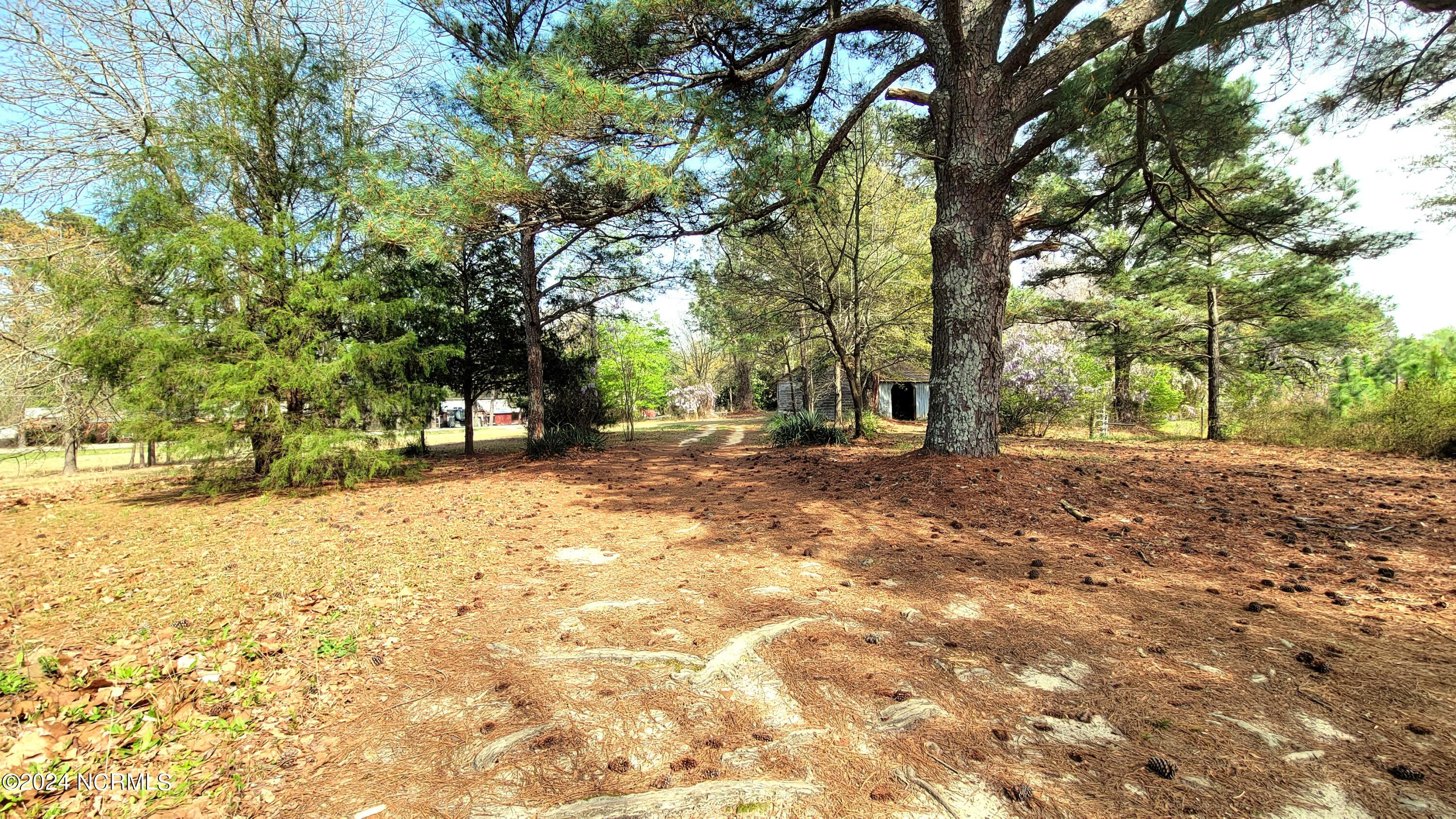 4516 Union Church Road Carthage, NC 28327 - Photo 40 of 41 20240401_160259