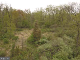 Lot 4 Mill Road Elizabethtown, PA 17022 - Photo 4 of 7 Gallery Image 4