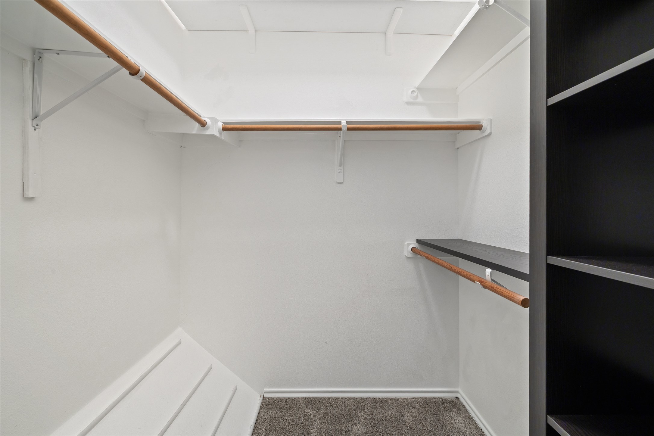 2918 Ranch To Market Road 620, Unit O282 Austin, TX 78734 - Photo 18 of 40 Walk in closet featuring carpet flooring