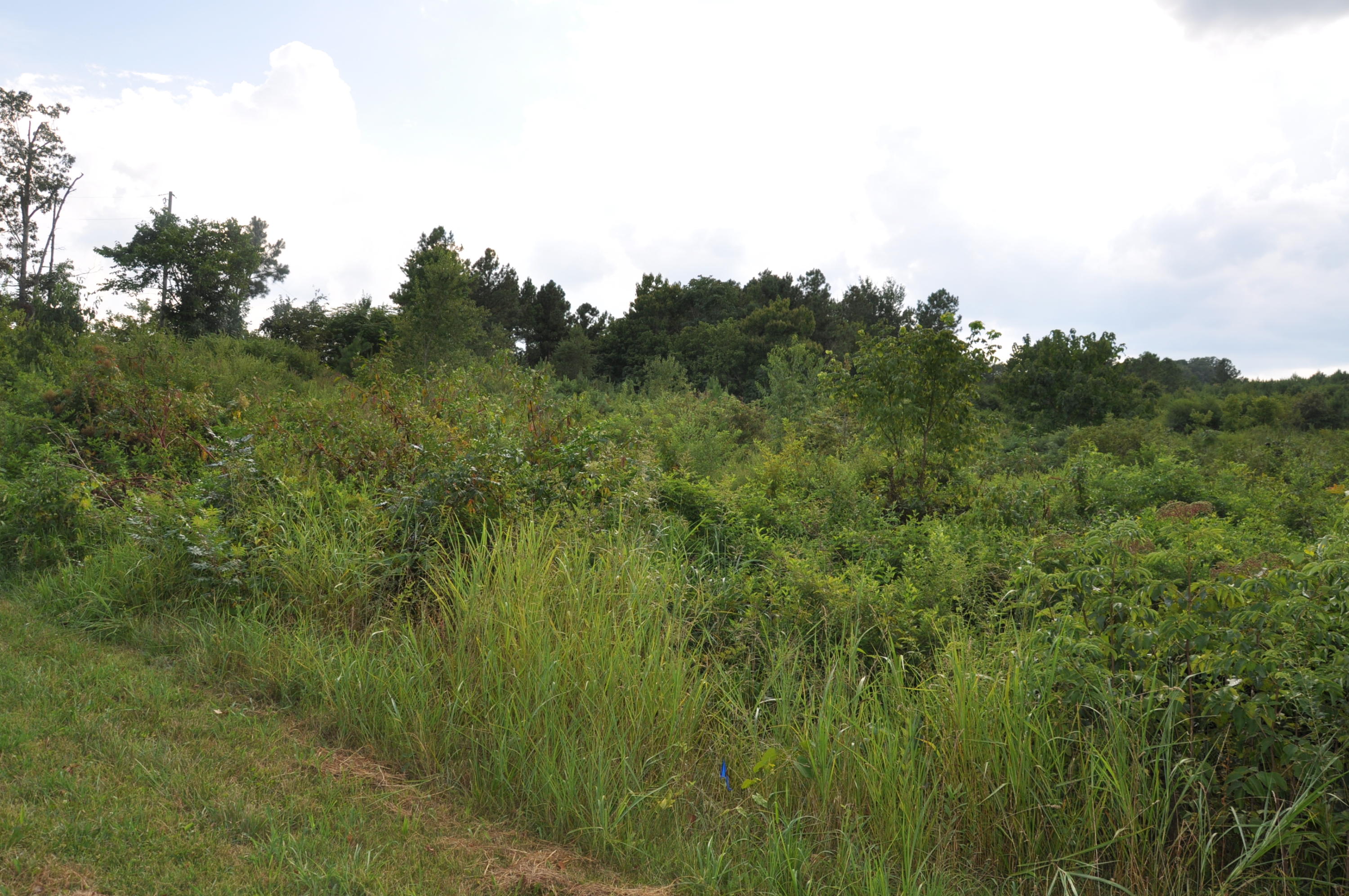 Ward Road, Unit 9 Loudon, TN 37774 - Photo 14 of 15 14