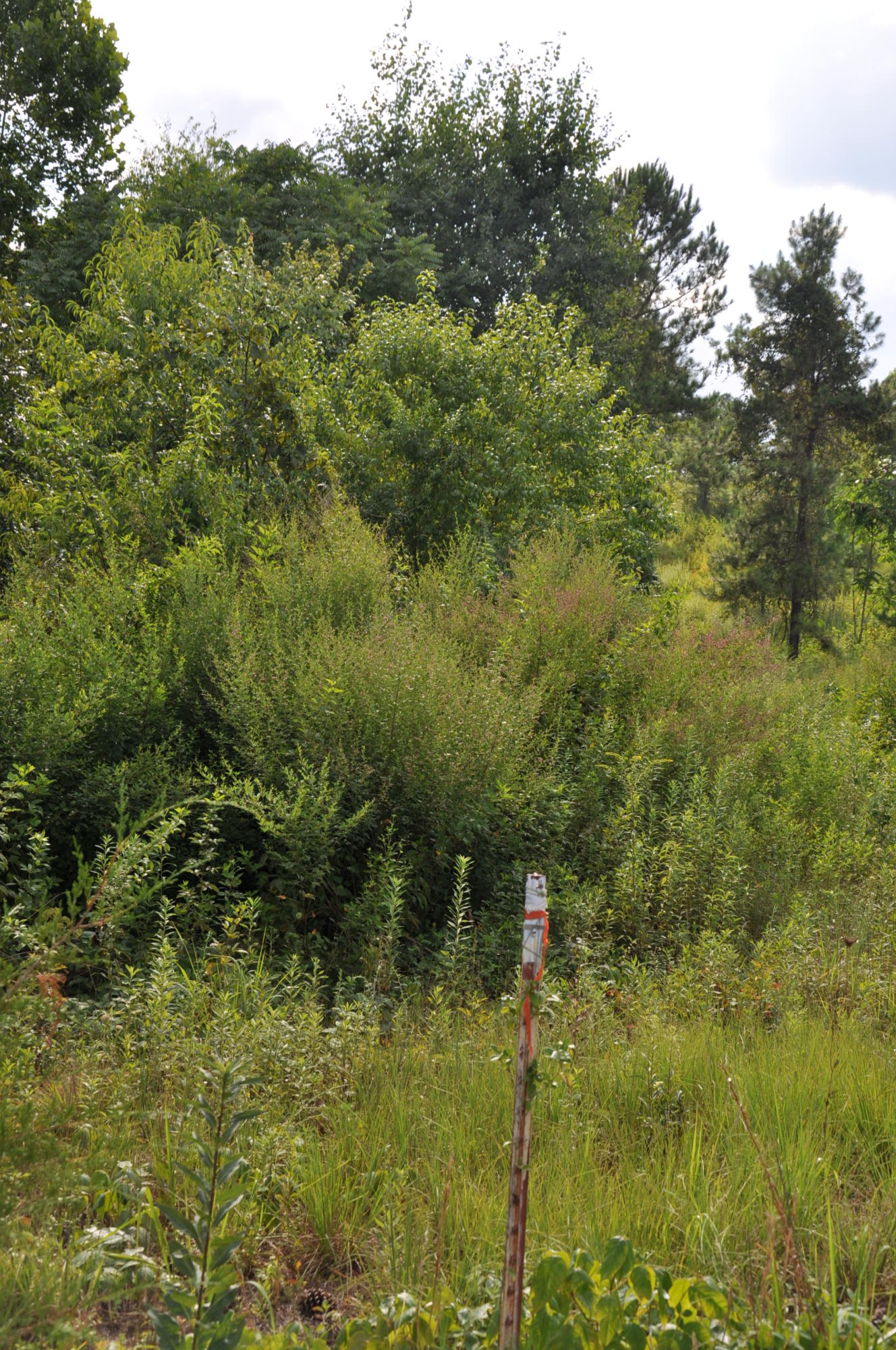 Ward Road, Unit 9 Loudon, TN 37774 - Photo 8 of 15 08