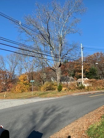 407 High Plain Road Andover, MA 01810 - Photo 11 of 25 a plant is sitting on the side of a road