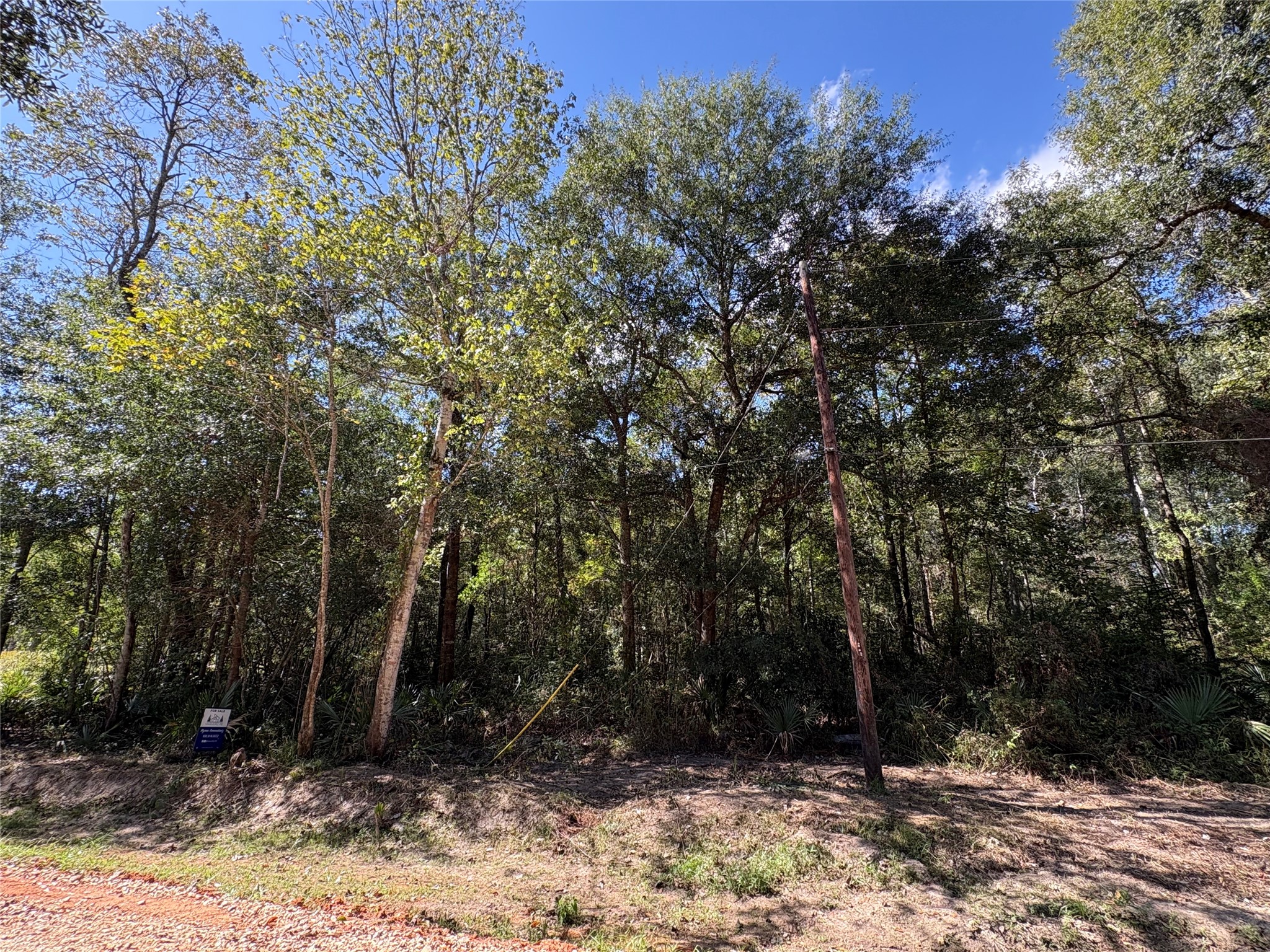 Lot 242 Mehringer Road Shepherd, TX 77371 - Photo 4 of 6 Connecting lot is also available and can be purchased together