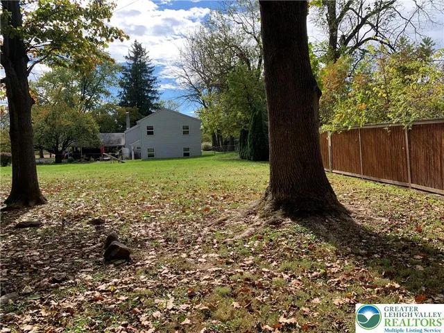 a tall tree in middle of the garden